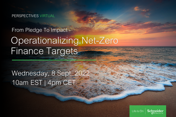 From Pledge to Impact Operationalizing Net-Zero Finance Targets