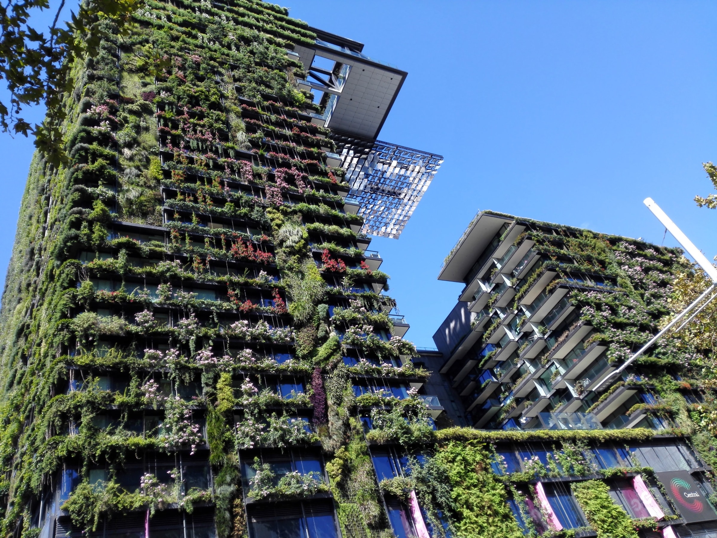 ESG To Fruition The Role Of The Property Manager In Carrying Out 