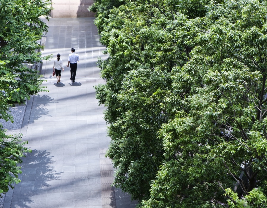 Beyond the Carbon Footprint Biodiversity is the Near Future of ESG